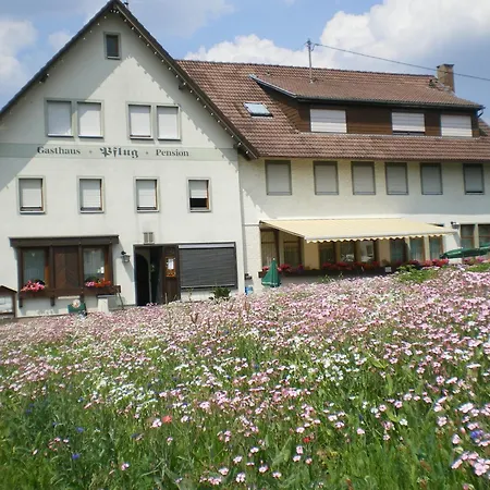 Hotel Pflug